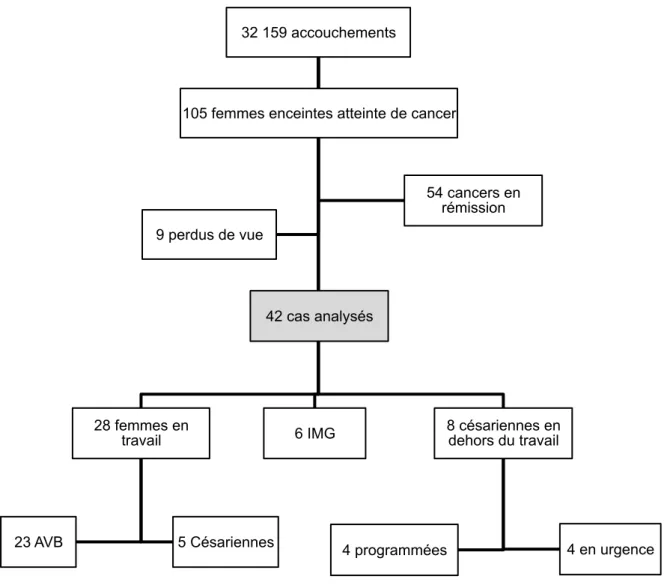 Figure  1.  Population  d’étude  et  voie  d’accouchement  des  femmes  enceintes  atteintes de cancer à la maternité Port Royal (janvier 2009-juillet 2016) 