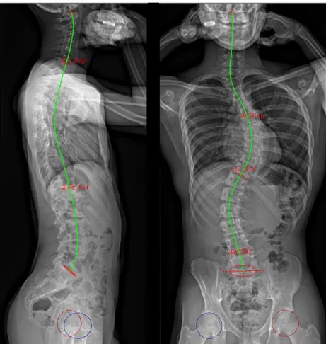 Figure 1. Manual identifications. 