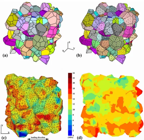 Fig. 2. (a) 3D periodic generation  of a  polycrystalline sample (343 grains); (b)  periodic meshing with tetrahedral elements; (c) The von Mises stress  distribution with strain of  0.1% after tensile test; (d)  XY  workplace of (c) on half  Z.