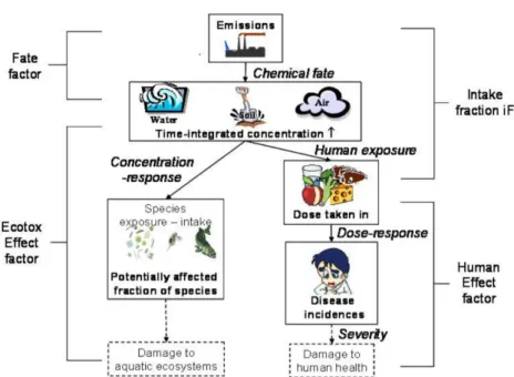 Illustration 3: Main Steps of the USEtox assessment [18]