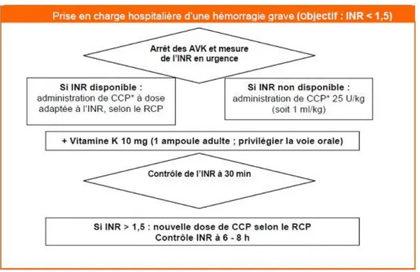 Figure 4. Prise en charge hospitalière d’une hémorragie grave. D’après la HAS (35) .