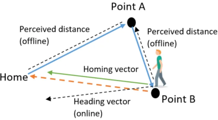 Figure 1: Homing by triangle completion. Subject starts at a home location, moves between two points and returns using the most direct route