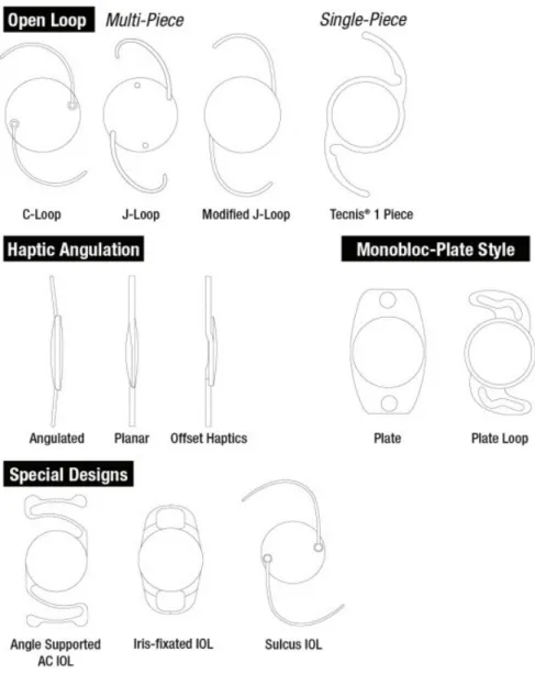 Figure 11. Différents modèles d'implants intraoculaires