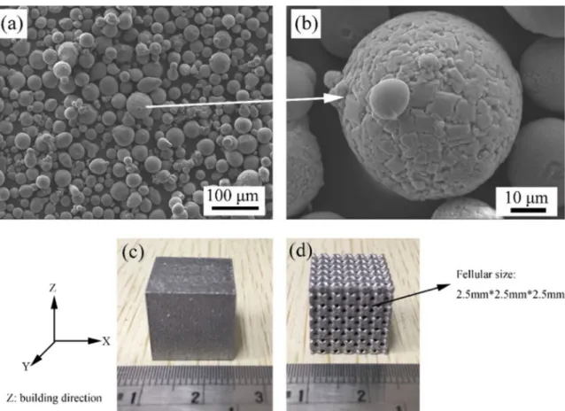 Fig. 1. (a) Surface morphology of powder mixture and (b) Quasicrystal powder, SLM processed (c) Dense and (b) Lattice structural samples.