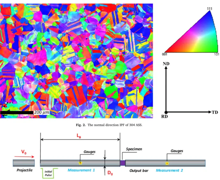 Fig. 2. The normal direction IPF of 304 ASS.