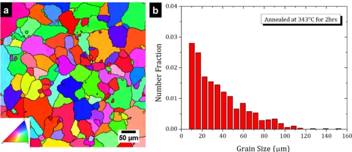 Fig.  1. (a)  IPF  map  of the parent  material. (b)  The initial  grain size  distribution of the parent material.