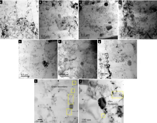 Fig.  4. (a-g) Low magniﬁcation  bright-ﬁeld  images showing the nanoparticles  and  sub-micron particles