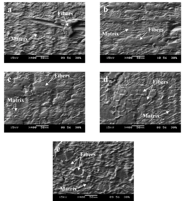 Fig. 8 shows the numerical cutting behavior of the flax/PLA com- com-posite obtained by the 2D FE micromechanical model