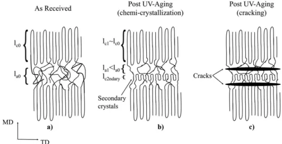 Fig. 16b depicts how the thickness of the interlamellar space l a0 is reduced at least by a factor of 2 as a result of the introduction of new and thin crystallites via chemi-crystallization