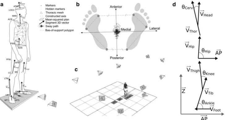 Fig. 1    a Locations of the retroreflective markers and thoracic mesh  used to define the body segment frame; b definitions of a specific  subject’s antero-posterior and medio-lateral axes according to the  foot markers; c positions of the cameras located