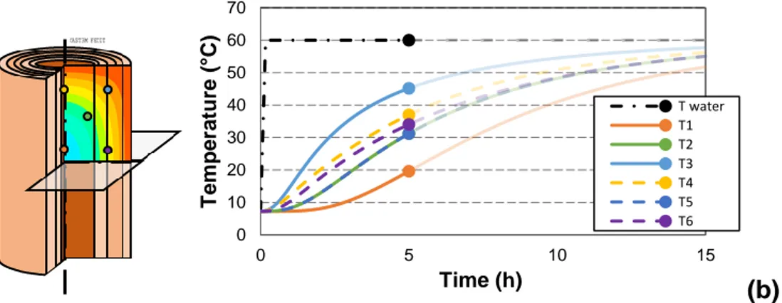 Fig. 4. (a) The finite element model and position of the measuring points used to determine  