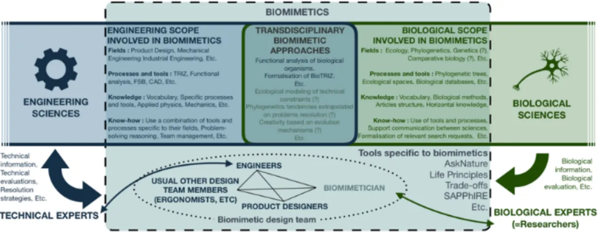 Figure 8. Diagram representing the updated summary of the identified fields, methods, tools and  actors involved in biomimetics