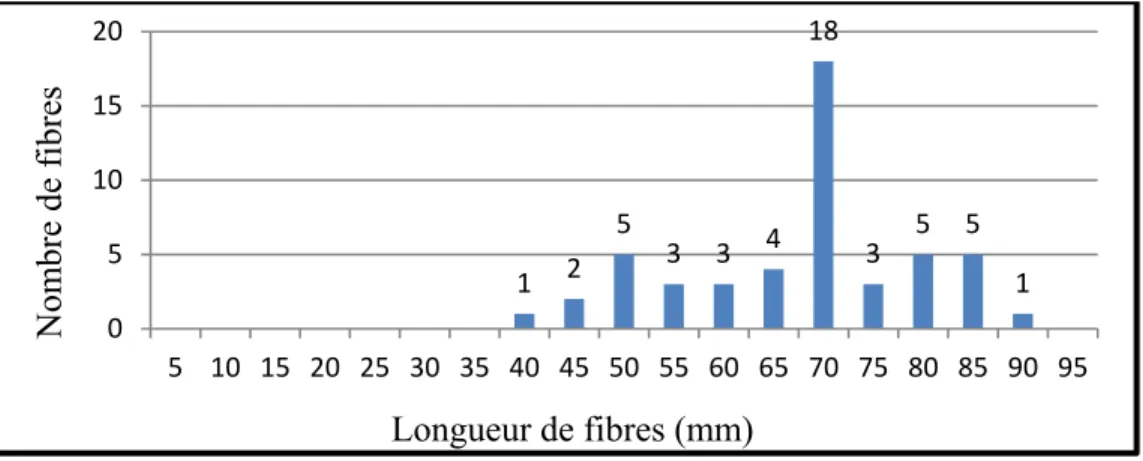 Figure 2.11 Graphe de distribution des mesures de longueur de la  fibre de kénaf vierge 