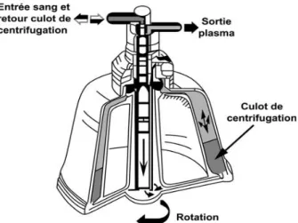 Figure 2 : Bol de centrifugation à flux discontinu ; Appareil Haemonetics TM® (20) 