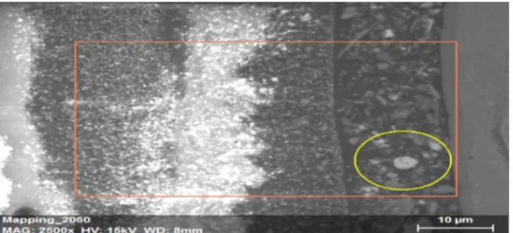 Figure 3.6 Analyse microscopique de la couche 4 