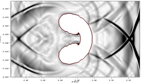 Figure 6: Schlieren image at t=400µs for the 2D test case.