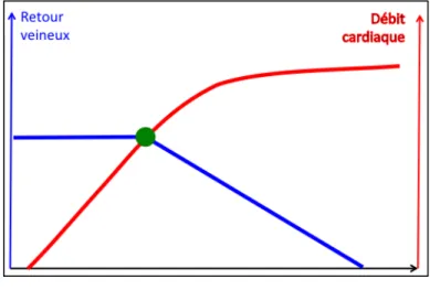 Figure 6 : Superposition des courbes de fonction ventriculaire (rouge) et du retour veineux de Guyton (bleu) 