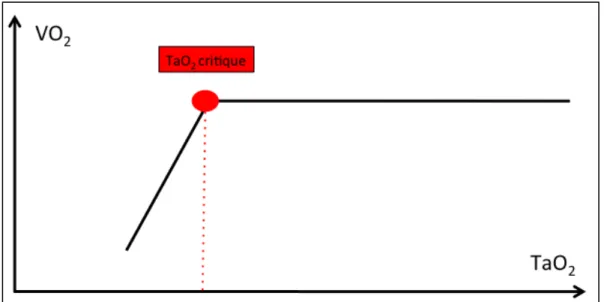 Figure 11 : Relation VO2/TaO2 normale 