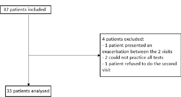 Figure 1 : flow chart which represented patients’ inclusion 