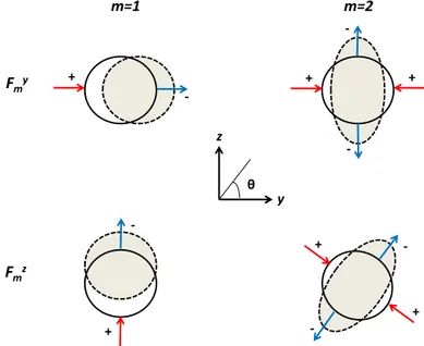 Fig. 4. Effect of the F m y and F m z load on the nozzle structure for m = 1 and m = 2.