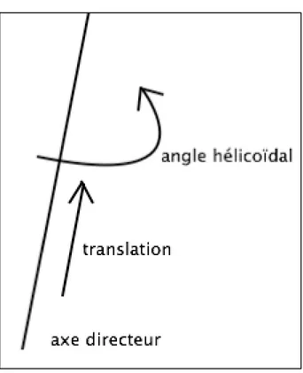 Figure 1.3: Représentation de l'axe hélicoïdal 