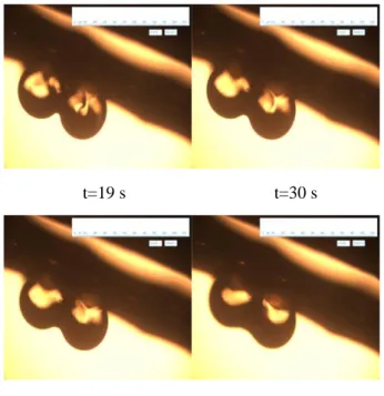 Fig. 8 Comparison of the experimental results with 2D mathematical model and C-NEM  coalescence simulation 