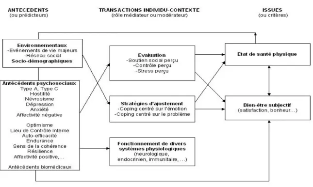 Figure 3 : Un modèle intégratif en psychologie de la santé selon Bruchon-Schweitzer (2002) 