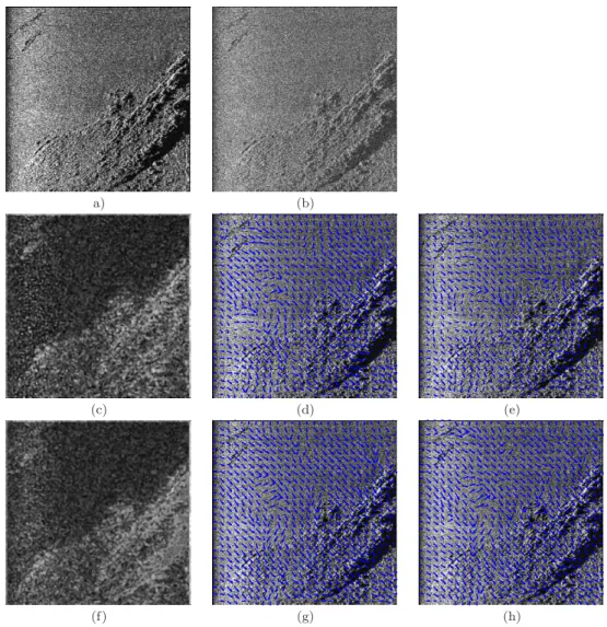 Fig. 3 Sonar image. (a) free noise original slice; (b) 20% noisy original image; (c) estimated envelope by Φ B ; (d) free noise estimated frequency by Φ B ; (e) 20% noisy estimated frequency by Φ B ; (f) estimated envelope by Φ H k ; (g) free noise estimat