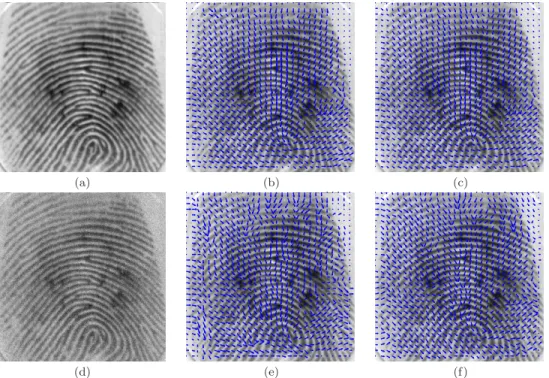 Fig. 4 Fingerprints: (a) original image; (b) estimated frequency by Φ B ; (c) estimated fre- fre-quency by Φ H k ; (d) noisy image; (e) estimated frequency by Φ B ; (f) estimated frequency by Φ H k ;