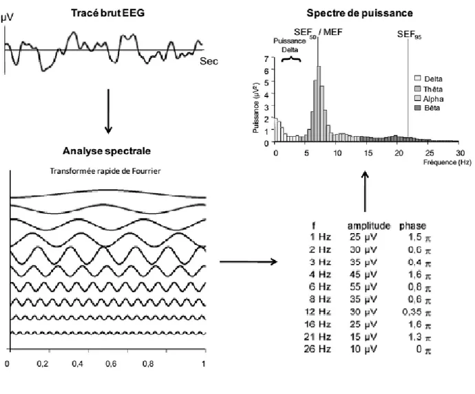 Figure  2  :  Décomposition  d’une  seconde d’EEG grâce  à  la  transformée  rapide  de  Fourier
