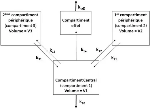 Figure  5.  Représentation  d’un  modèle  pharmacocinétique  tricompartimental  associé  à  un  compartiment effet
