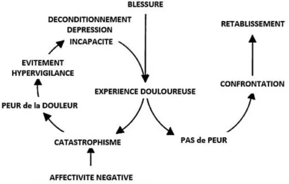 Figure 3 : Traduction en langue française du modèle peur-évitement dans la   douleur chronique, issu de Vlaeyen et al (2000) 