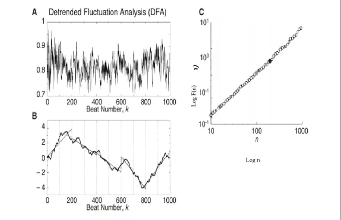 Figure 7 : Illustration de l’algorithme de la DFA : (A) série temporelle (ici des  intervalles inter-battements de cœur)