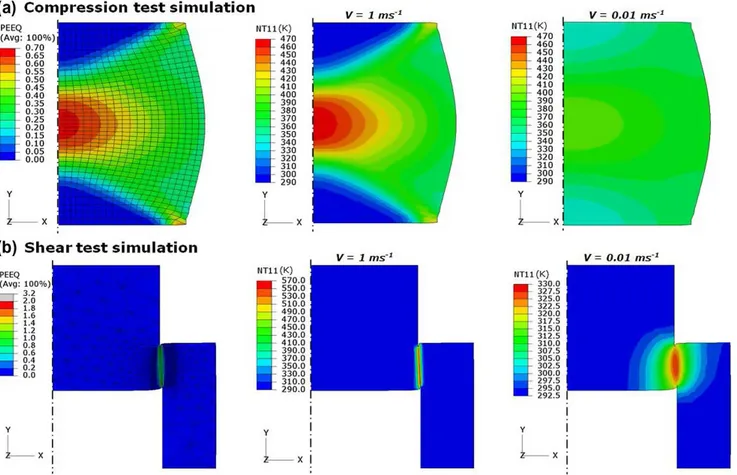 Fig. 5. Self-heating temperature fields obtained by numerical simulation of the (a) compression and (b) shear tests for two speeds (1 and 10 ÿ2 ms ÿ1 ).