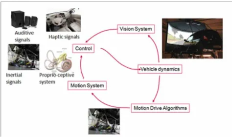 Figure 1. Structure of the SAAM driving simulator 