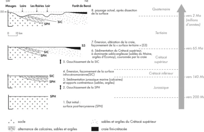 Figure 2. Coupe synthétique, du Massif armoricain (Mauges) à l’ouest du Bassin parisien (forêt de Bercé), à  partir de la dissection de la surface régionale (d’après C