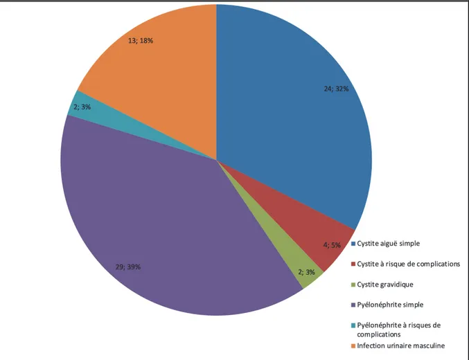 Figure 3 : Répartition des différents diagnostics d’infection urinaire aux urgences 