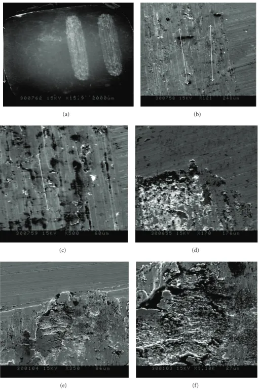 Figure 19: SEM micrographs circular wear marks on Ti-6Al-7Nb sample after the friction test (severe deformation and plastic flow)