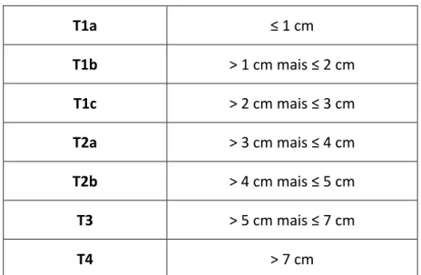 Tableau 1 Détails des stades tumoraux T de la 8 ème  classification TNM  5
