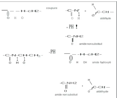 Figure  11.  Principaux  processus  de  coupures  de  chaînes  dans  les  PA alipha-  tiques en atmosphère oxydante.En haut :  coupure  13  des radicaux a  lkoxyl es