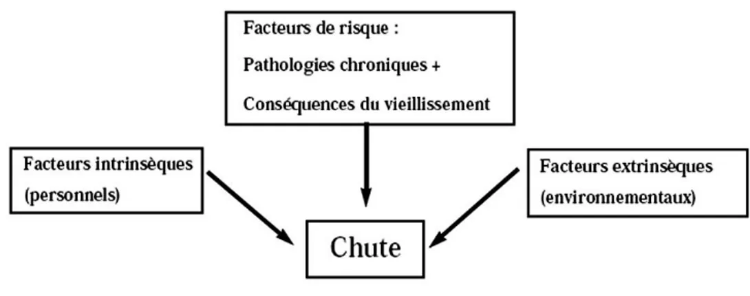 Figure 2 étiologies des chutes 