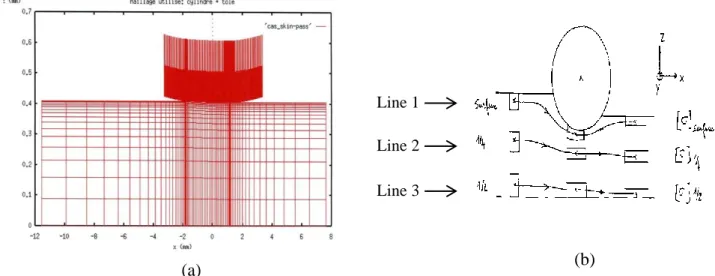 Fig. 2. (a) Representation of the mesh of the metal sheet and the cylinder; (b) Position of strain  lines