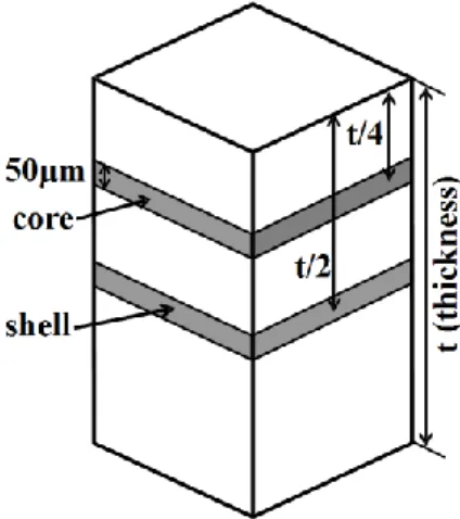 Figure 2. Description of the analyzed µCT volumes in the shell and core layer of the composite