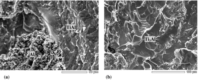 Fig. 10. SEM images of fracture surface of sample 2B: malaxated Al-rich and TiAl-rich zones (a); Ti 3 Al zone (b).