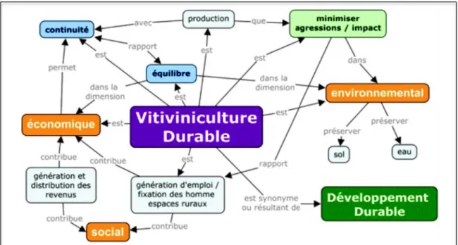 Figure 5 – Viticulture durable par les acteurs 