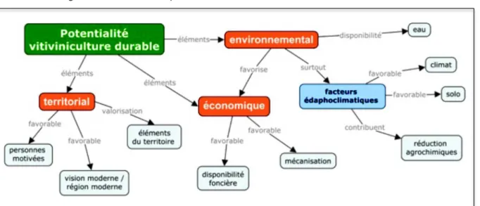 Figure 6 – Potentialités pour la viticulture durable dans la vision des acteurs 