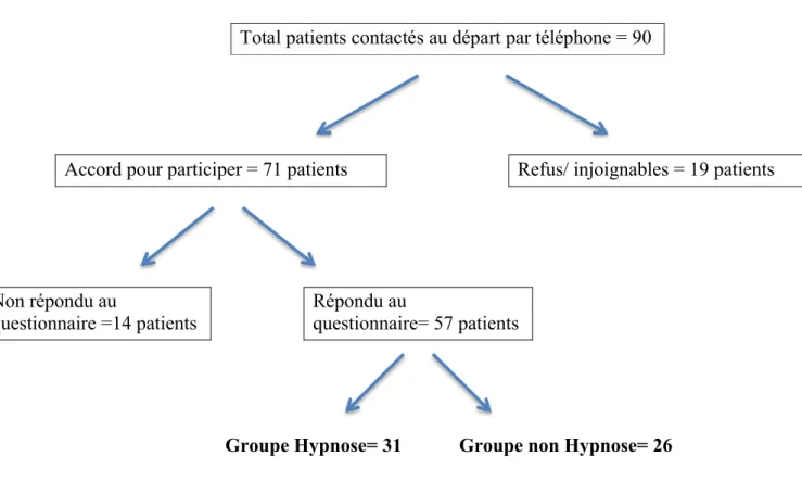 Figure 5 : récapitulatif du nombre de patients inclus 
