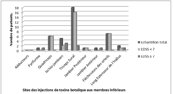 Figure 4 : Répartition des sites d'injections de toxine botulique aux membres inférieurs dans la population