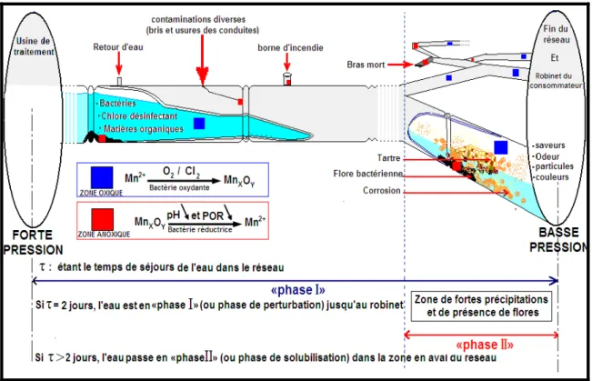 Figure 2.7 Le réseau réacteur. D’après (Levi, 1995) adapté 