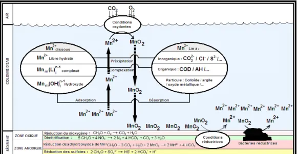 Figure 2.6 Le cycle du Manganèse dans les interfaces sédiment-eau et eau-air   (L: ligand)